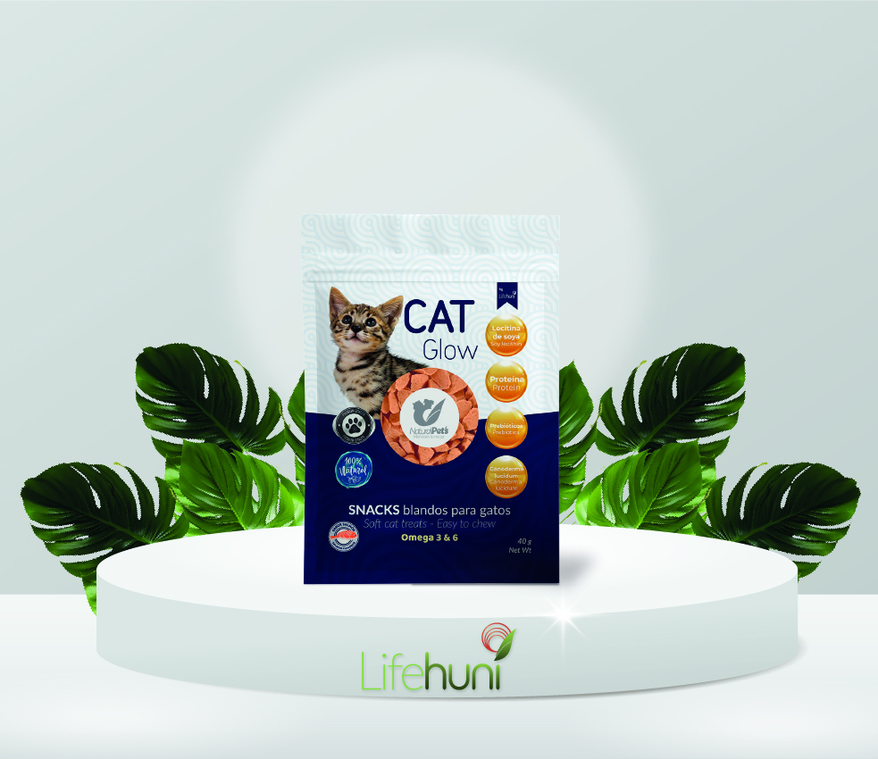 SNACK CATGLOW