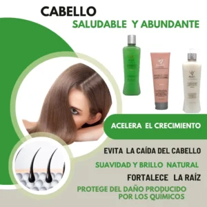 COMBO - CABELLO SALUDABLE Y ABUNDANTE SHAMPOO + ACONDICIONADOR + TRATAMIENTO